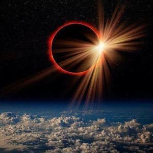 Meet your Posher, Kassie